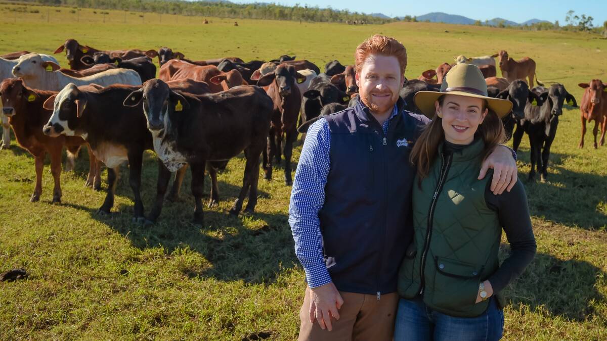 SALE TIME: Mark Davie and Kelly Newtown, Greenlake Station, are hoping to sell one big line of cattle each year. Photo - Kelly Butterworth. 