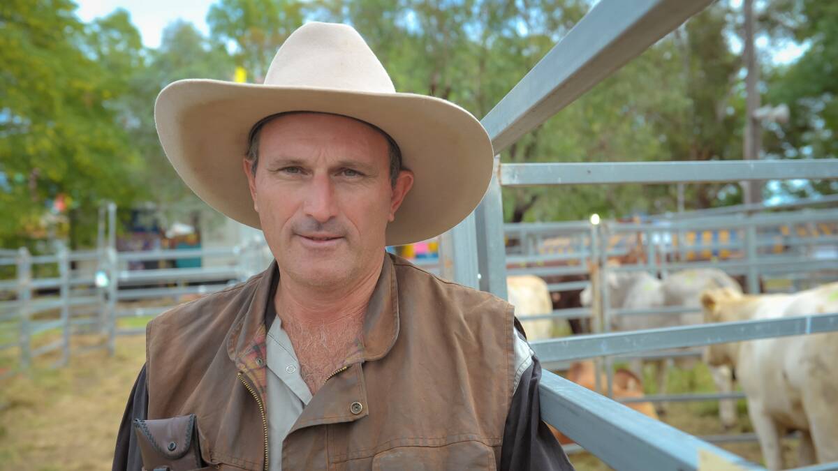 Prime cattle chief steward Andrew Bauer, Tristleigh Hills, Kokotungo.