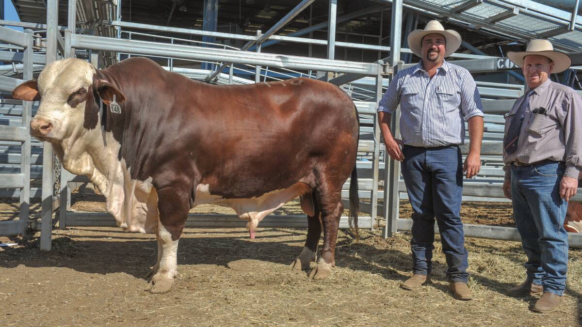 Equal second top priced bull Little Valley Foster with vendor Cameron Bennett, and purchaser Warren Wilson, Redbank, Mitchell. Foster sold for $26,000. 