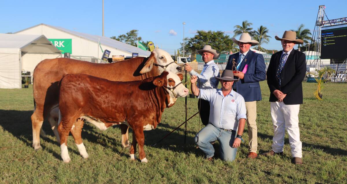 Simbrah grand champion female KBV Brasilia with owners Marty Rowlands and Stephen Lane (holding calf), judge Matt Ahern, Roma, and associate judge Charlie Salter, Dalby.