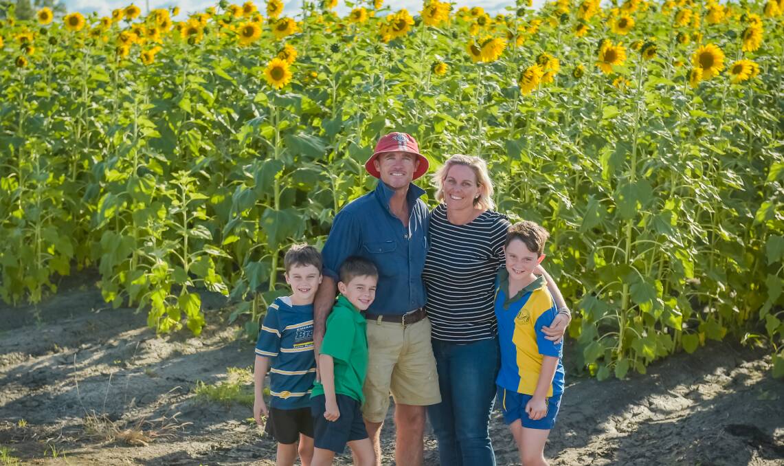 MCCULLAGHS: Chris and Emma McCullagh with sons Sid, Eddie, and Will with this year's opportunity sunflower crop. 
