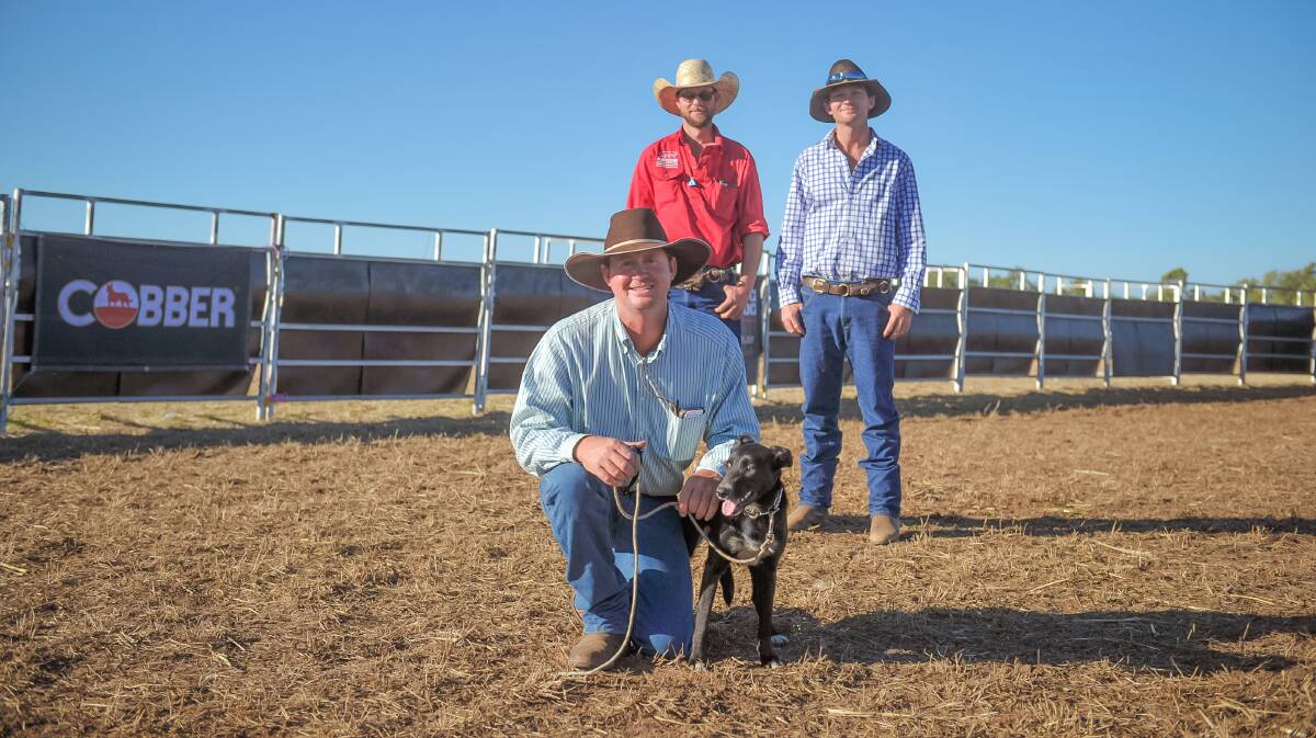 Adam Sibson, Bundabaroo Station, Charters Towers, in front with his new dog, Narroonda Molly, who he purchased off Martin Holzwart, Charters Towers (right), pictured with Molly's breeder, Antony Mulder, Walcha, NSW (back left). Photo - Kelly Butterworth.