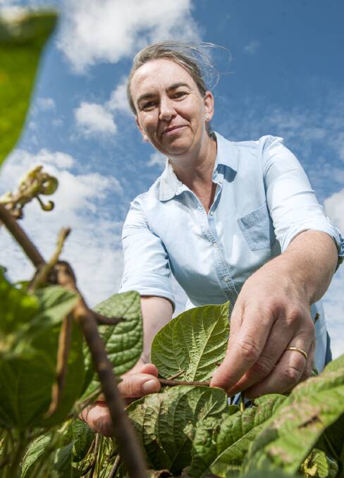 USQ nematologist Kirsty Owen lead the research, which will help growers choose what rotantional crops to plant. 