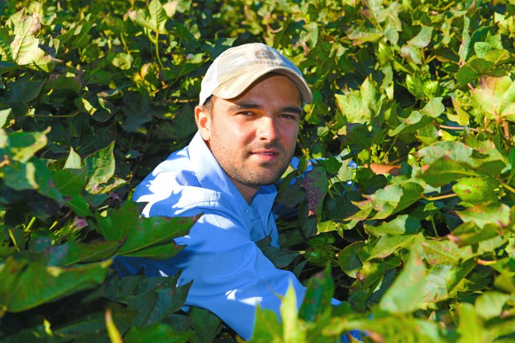 Agronomist Dean Andrighetto of Yenda Producers in Griffith has started growing cotton as a viable summer crop.