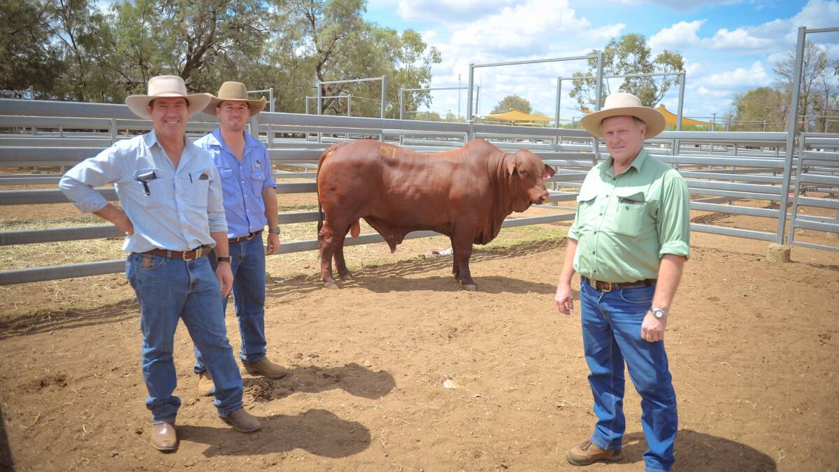 Top priced bull Rondel Unspoken with purchaser Ken McKenzie, Yaralla, Blackwater, vendor Zach Muntelwit, and Landmark Biloela's Ross Jorgensen. 