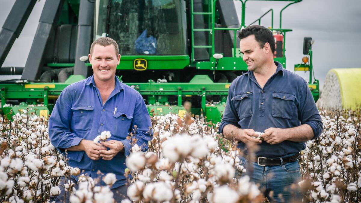 Dean Thompson and Nigel Burnett l check out the cotton, which was grown on after a weather event in the region. Photo - Kelly Butterworth. 