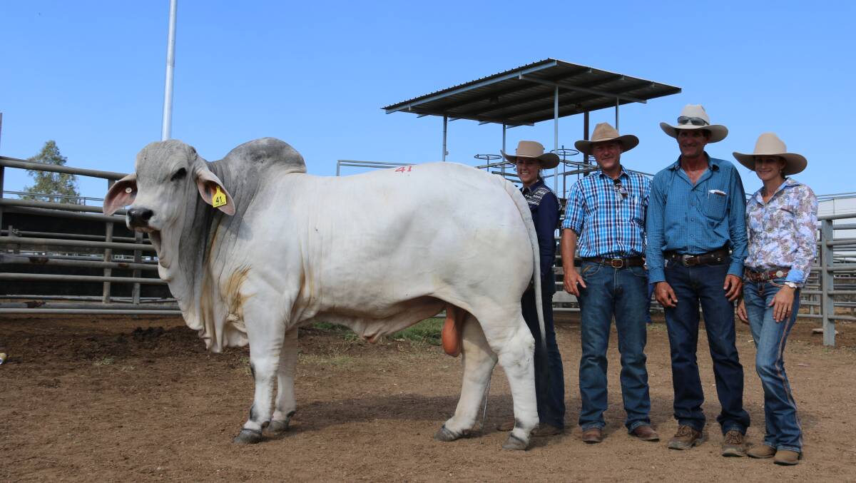 Pictured with top priced bull, Willtony Blundstone 1013 (P), are Corinne Rockemer, Lanes Creek Brahmans, Matt Kirk representing the Carinya/Garglen Syndicate, and Brian and Cindy Hughes, Lanes Creek Brahmans.
