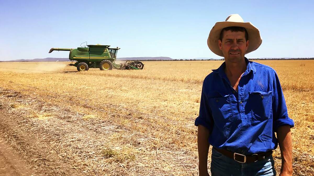 Harvest underway with Howard Smith, Mt Panorama, Rolleston, overseeing the job. 