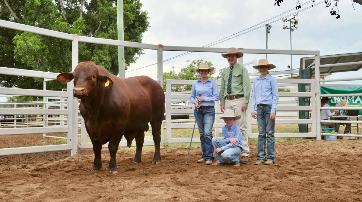 Second top priced bull Jamar Manual with Jamar's Louise, Lucy, and Will Prentice, and Landmark's Bryton Virgo. Photo - Kelly Butterworth. 