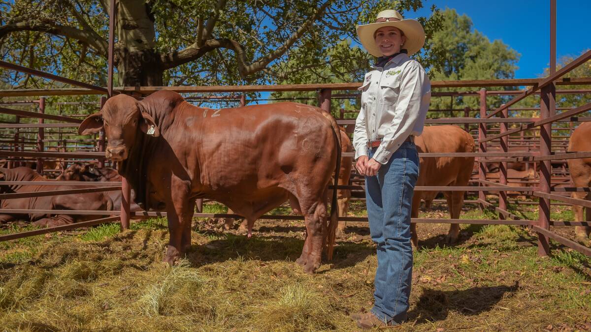 Hayley Piggott, Aldinga Droughtmasters, with top priced bull Aldinga Hundred who sold for $17,500 over the phone to Michael Flynn, Valera Vale Droughtmasters. 