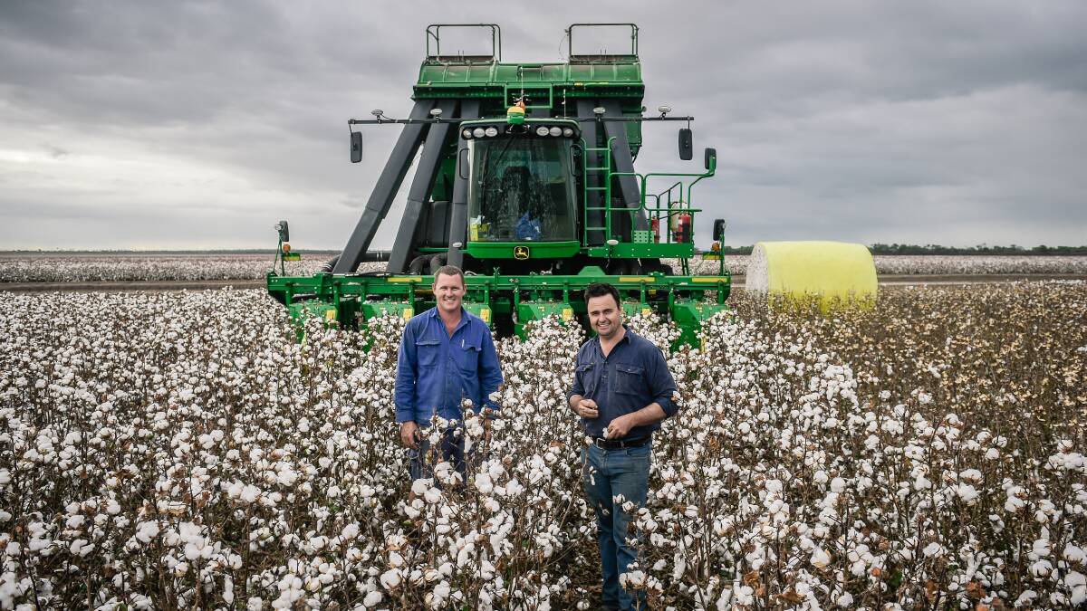 PICKING TIME: Dean Thompson and Nigel Burnett, Colorada, Emerald, pause during picking for a photo. Photo - Kelly Butterworth. 