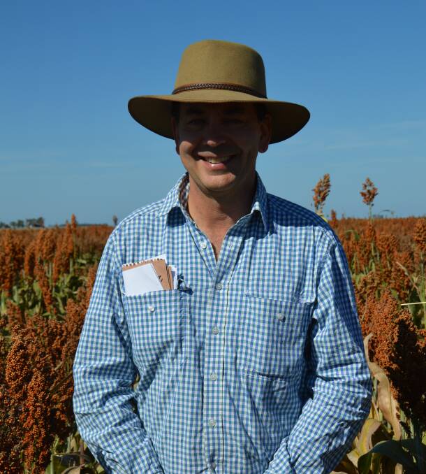 Sorghum breeder and geneticist David Jordan said the future of Sorghum in Queensland was bright with opportunities for increased productivity despite drought conditions noted in a trial near Jimbour.