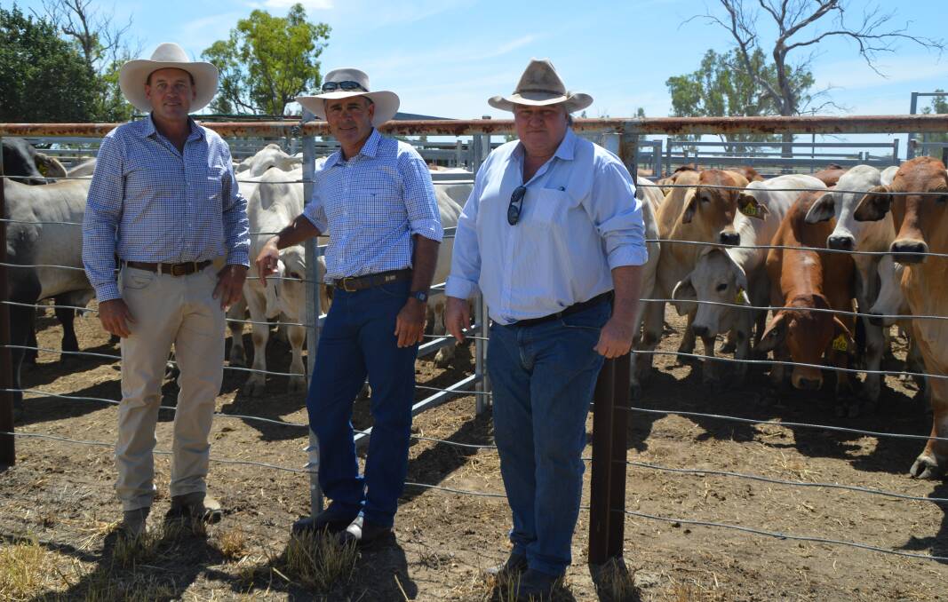 Mark Wilson, Banana Station, Chairman of the ABBA technical committee Brett Coombe, and Banana beef producer and MLA board member Jeff Maynard, were pleased with developments within the project.