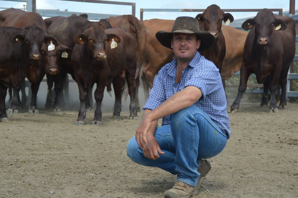 Embryo success: Ben Adams, Dangarfield, Taroom, said the reward of producing consistent top quality progeny via embryo transfers made the hard work and long hours worthwhile.