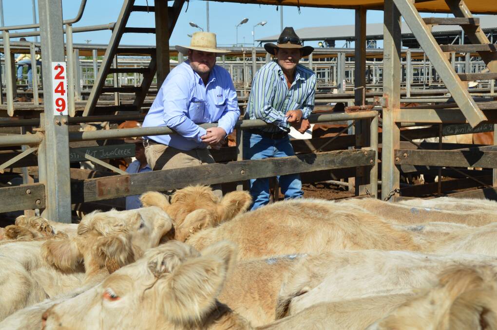 Kerry Flanagan, GDL Wandoan, and Jeff Noller, Kialla, Greenmount, were hoping for strong prices to support Mr Noller's forced herd reduction.