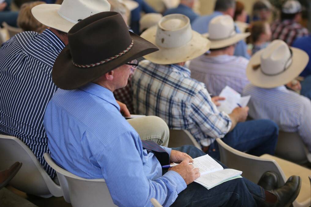 New dates: Two notable Santa Gertrudis bull sales are set to announce new dates after postponing due to wet weather.