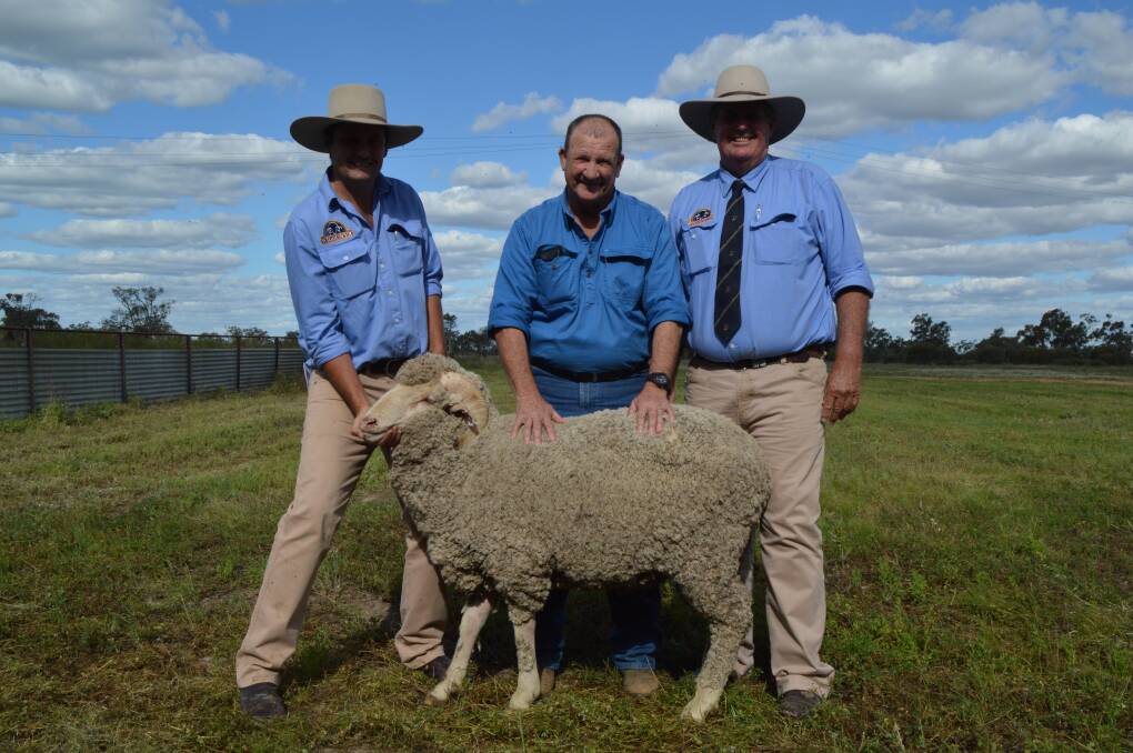 Top price: Benn and Max Wilson, Wilgunya Merino Stud, Dirranbandi, were proud to sell lot 80 for a sale topping price of $4000 to Allan Montgomery, Niminbah, Thallon, (centre).
