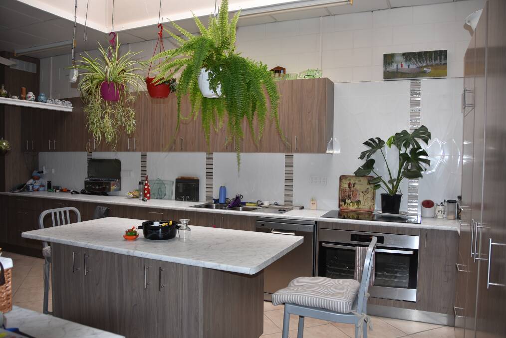 The renovated kitchen with indoor plants growing beneath the natural light rangehood.