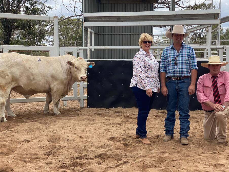 Susan and Mark Hopgood and Elders agent Michael Smith with top price bull Hopgood Poppy (P), which sold for $21,000.