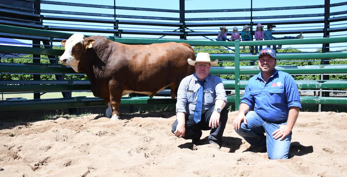 Auctioneer Mark Duthie, SBB/GDL, with vendor Marty Rowlands, KBV Simmentals, Murphys Creek, and KBV Penfold which topped the sale at $24,000.