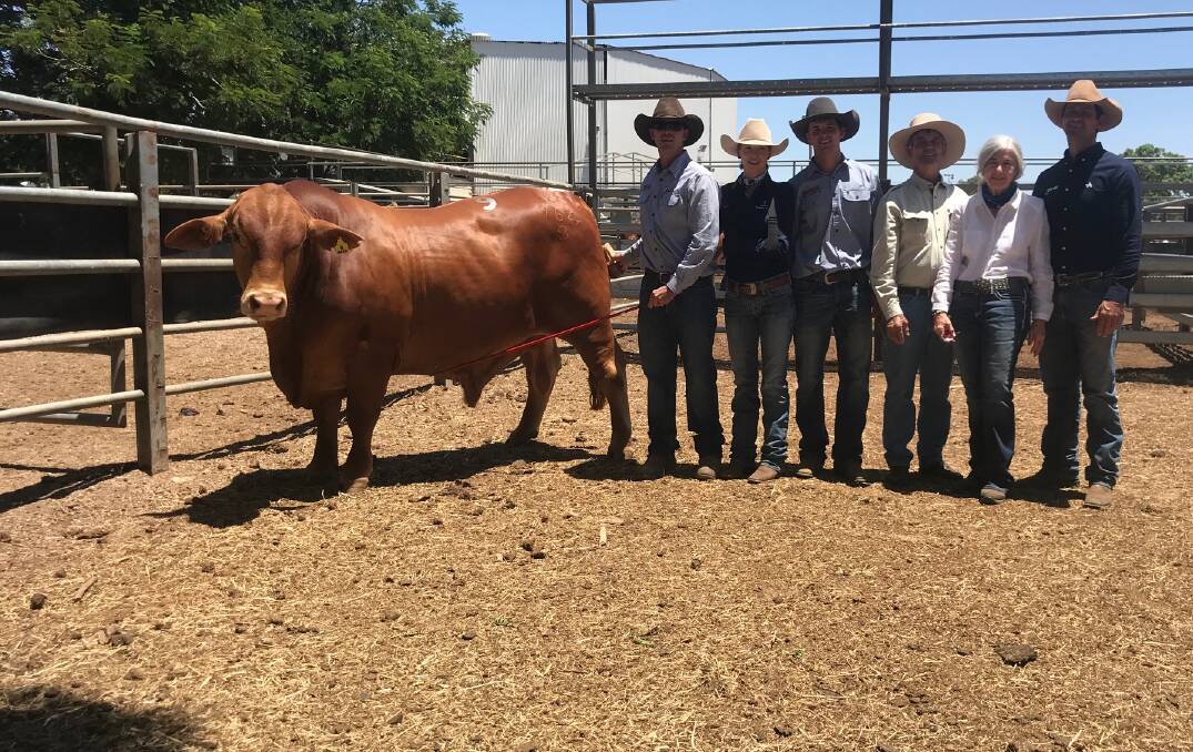 Vendors Mac and Gayle Shann, Cantaur Park, Clermont, with buyers Hutton, Harry, Sue and Berry Shann, Suttor Grazing Company, Collinsville, with the top priced Droughtmaster herd bull.