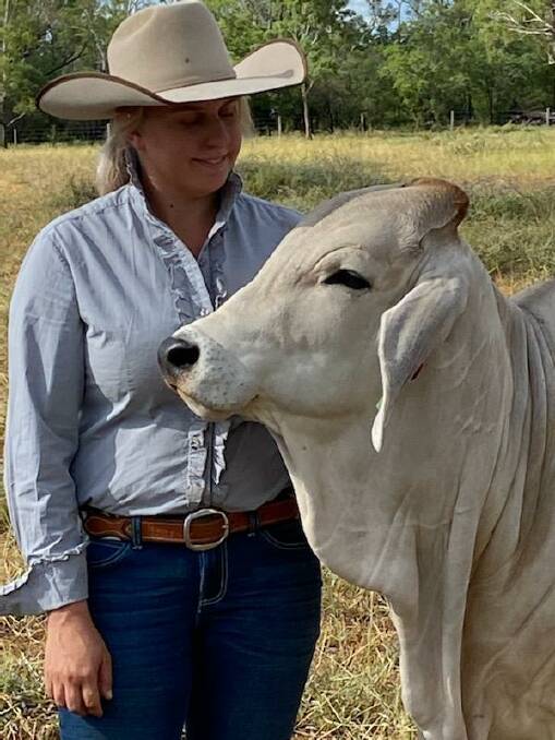 TOP JOB: Megan Kent, Ooline M Brahmans, is preparing bulls for upcoming sales and hopes to sell at Big Country in 2022.