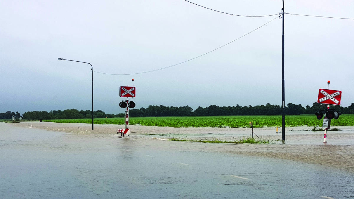 The Haughton River is in full flood and has inundated cane farms in the Giru area.