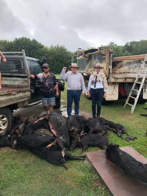 This is the photo of Hill MP Shane Knuth and Bob Katter at a pig hunt in North Queensland that sparked furore from southern city dwellers.