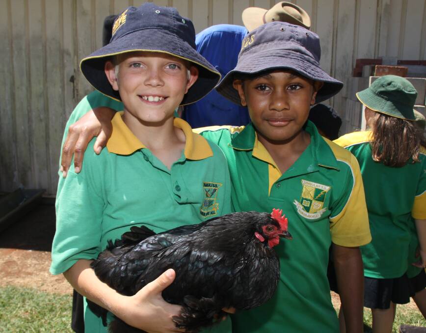 Dimbulah students Jason Wilkinson and friend Esava check out the poultry at a Moo, Baa Munch event, at Malanda High School in 2016.