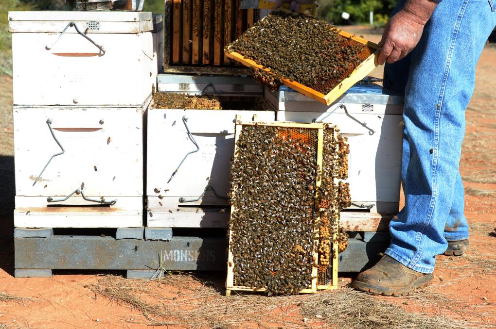 Beekeepers have welcomed the relief package.