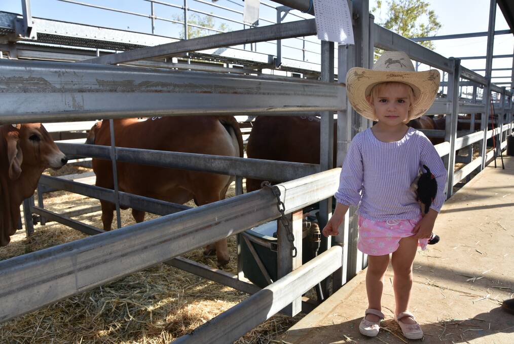 For a third consecutive day the stands at the Central Queensland Livestock Exchange were packed with buyers and vendors, befitting the largest sale of its type in the southern hemisphere. See who was there.