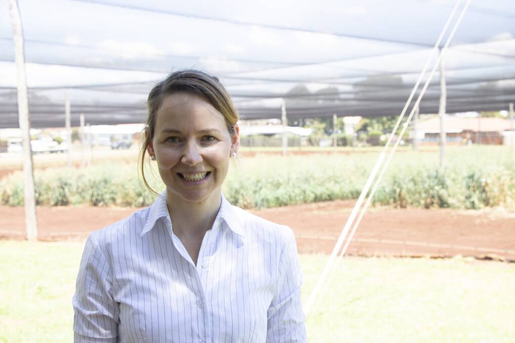 Dr Annie Ruttledge is conducting trials to identify cover crop species suited to southern Queensland that have weed-suppressive traits. Photos - DAF.