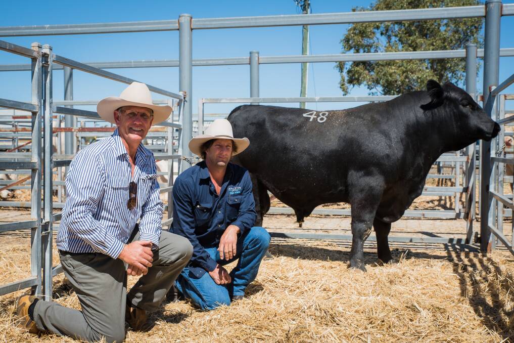 Jeff Holzwart, Bauhinia Park Angus, and Mick Busby, Star Downs, Alpha, who paid $18,000 for the top selling bull Bauhinia Park Gunsmoke P141. Photo: Bindi Taneal Photography.