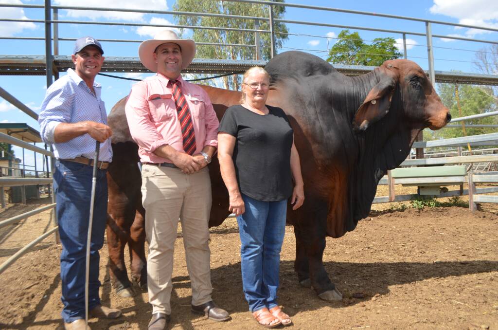Vendor Mitch Cole, Lapunyah Brahmans, Tumoulin, with Elders sale agent Anthony Ball, and buyer Lindy Fry, Arafura Cattle Co, Normanton, with the $60,000 Lapunyah Walker (PS). Photo: Matt Sherrington.