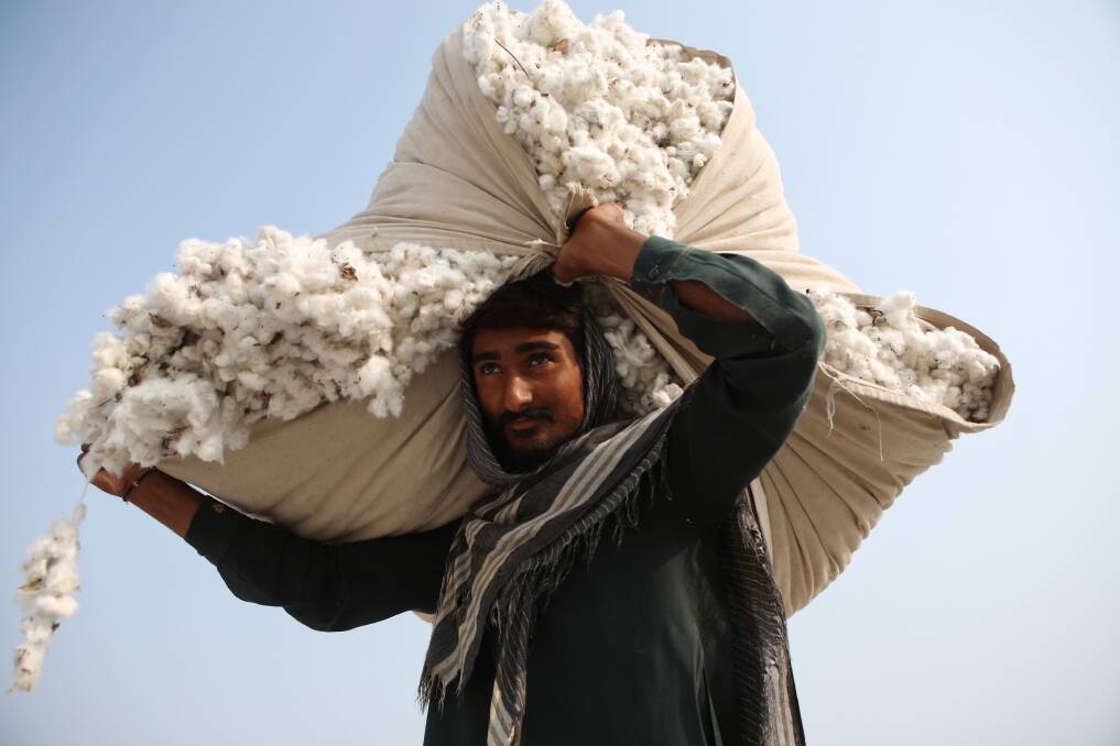 SUSTAINABILITY: The Better Cotton Initiative also supports sustainable farming practices in developing countries. Photo: Asim Hafeez, WWF UK.