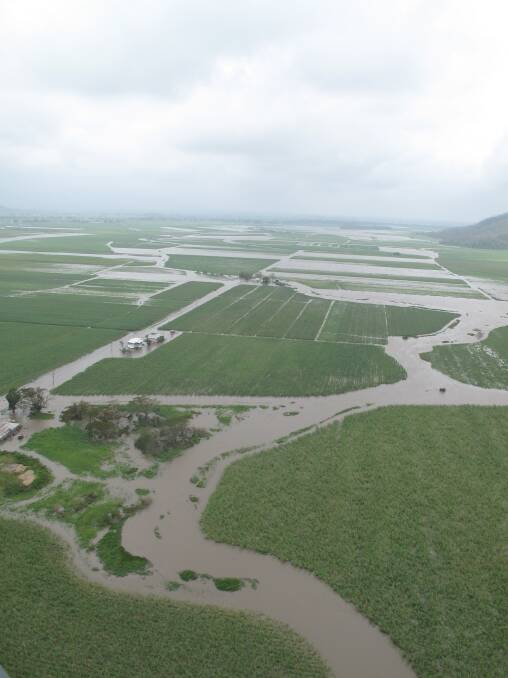 INUNDATED: The cane growing districts around Tully and Innisfail copped the brunt of Cyclone Yasi.