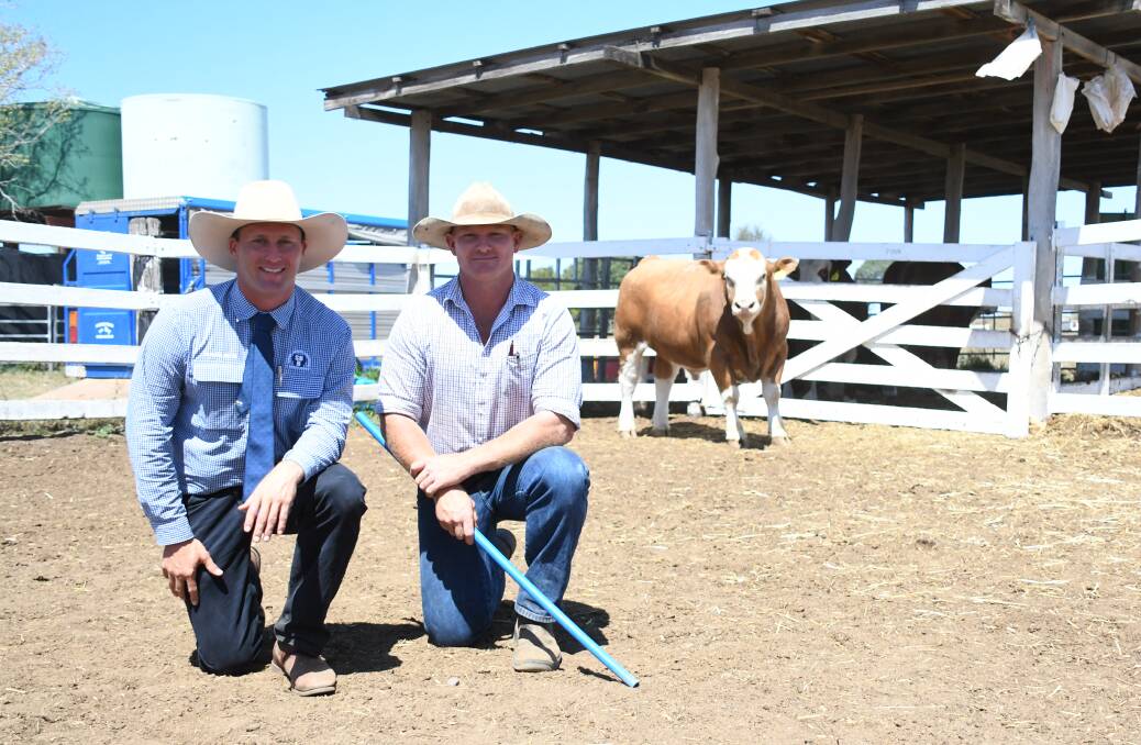 Auctioneer Josh Heck, SBB/GDL with vendor Jason Johnston, Navillus Park, and the second top priced bull Navillus Park P82, which sold for $20,000.