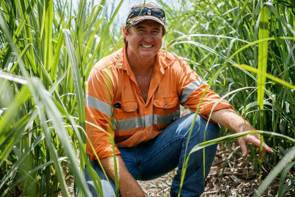 Mossman district cane grower Clint Reynolds is trialling a five-seed mix for his fallow crops, and seeing results.