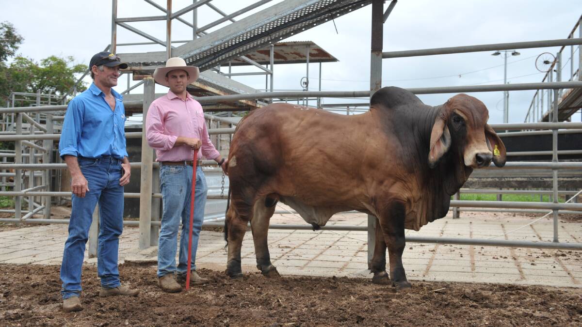 Top red at the 2018 sale for $42,500 was Ooline Shawshank 1076 (P), pictured with buyer Kelly Daley, Katherine Downs, Katherine (left), pictured with Ooline's James Kent. 