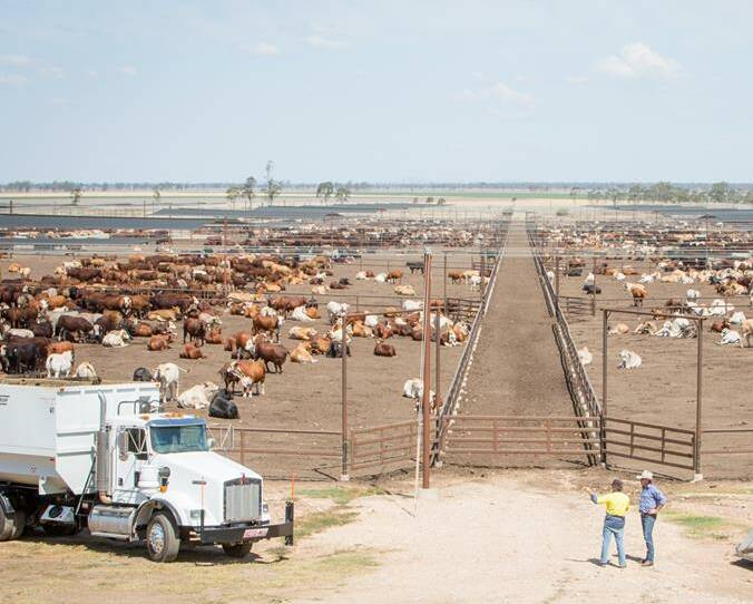 EXPANSION: Growth is underway at Grassdale Feedlot near Dalby.