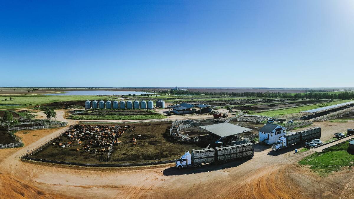 Coggan Farms runs a multi-species feedlot, which can hold 20,000 head of cattle. 