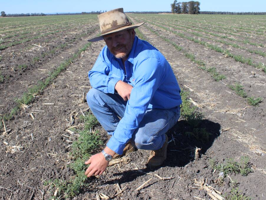 AgForce grains president Brendan Taylor said farmers need rain and crops planted in the ground before worrying about the Chinese barely tariff. Picture - Helen Walker. 