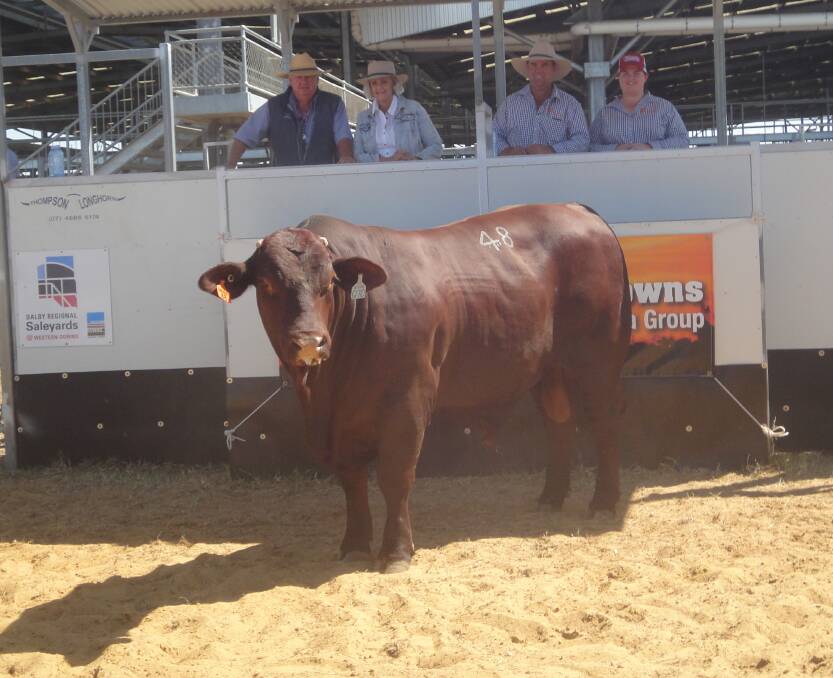 A top price of $20,000 was achieved on three occasions at the Western Downs Santa Gertrudis sale held at the Dalby Saleyards including Hayleigh Q70 (PS). He was bought by John Robbins and Jan Clark of Daandine Pastoral Co, Taroom and sold by Ross Wilson and family and pictured with his daughter Sara, Hayleigh Santa Gertrudis Stud, Durong. 