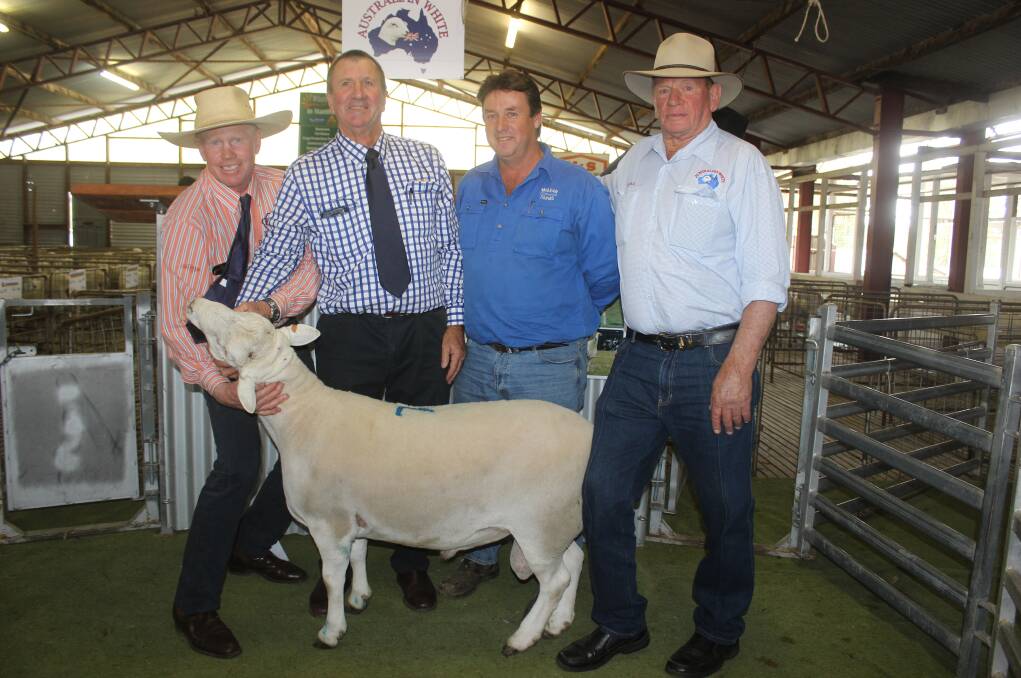 Sale topper at $4000 with George McVeigh,  TopX, David Friend, Nowland Stock and Station Agents, Paul Keevers, McLean Farms, Pittsworth, and vendor Murray Schroder. 