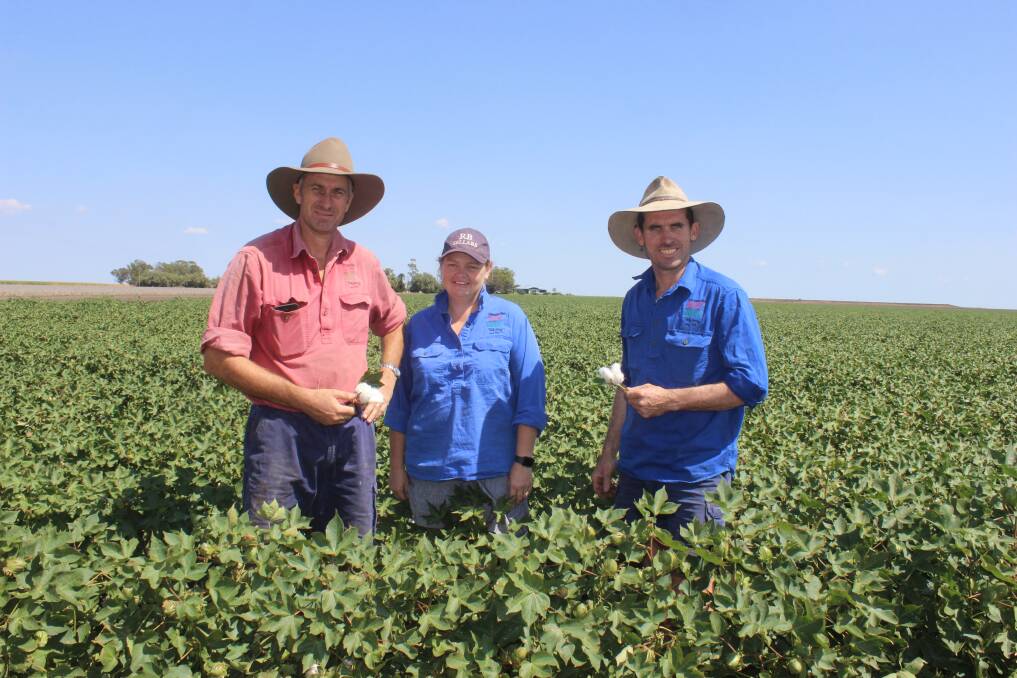 Matt and Jen Finch with Scott Smith in their cotton crop which received 72mm of much needed rain over the weekend. Picture: Helen Walker 