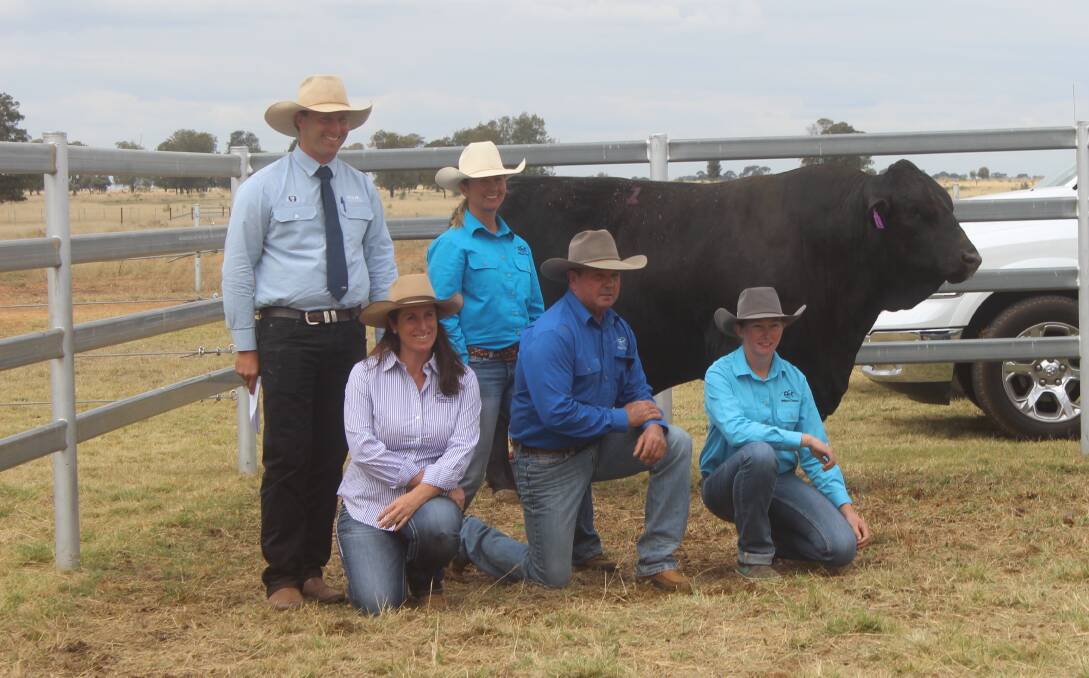 GDL auctioneer Josh Heck, Kim Groner, Lenore and Mick Cole and Alisha Allen with the top price black Simmental bull Elite Platinum who sold for $22,000. Picture Helen Walker