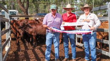 Overall Champion Steers Greg Pressey, with sponsor Dean Castledine of Rockadolla Livestock and Earthmoving and Rob Bygrave of Eidsvold Livestock and Property. Winning Pen 16B of Santa Gertrudis X Steers selling for 728c/kg @ 263kg to return $1920 head.