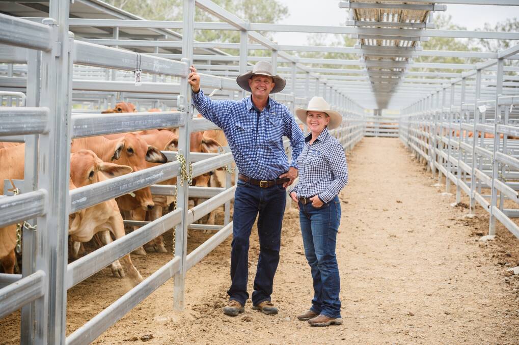Lance and Stephanie Whitaker pictured at the Burnett Livestock Exchange have sold their business and will hand it over in early January.