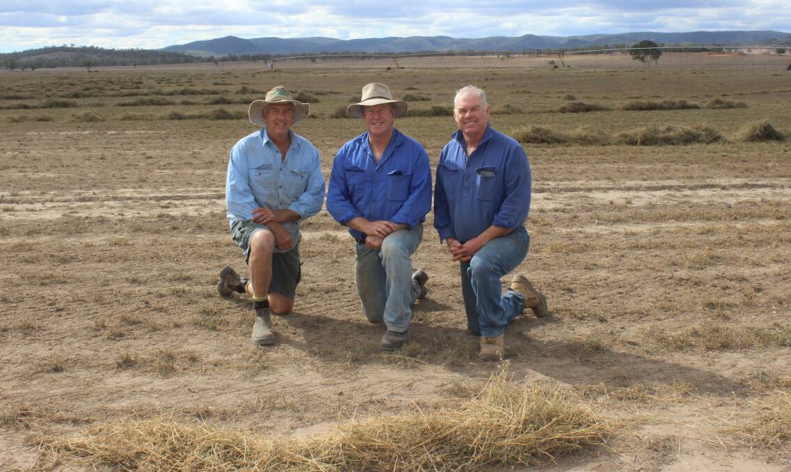 Dougal, Greg and John Finlay, Finlay Farming, Texas, in a lucernce paddock they have stopped irrigating due to the drought. 