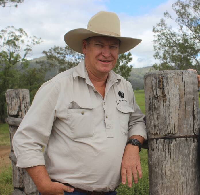 NTCA president David Connolly said while the live cattle market is to $3.50c/kg to $3.70c/kg it has got to a point where it is profitable again. Picture Helen Walker.